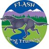 flash-dog-training-broomfield-colorado
