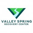 valley-spring-recovery
