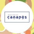 canapes-usa