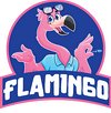 flamingo-floodworks---water-removal-and-damage-experts
