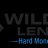 wildcat-lending