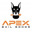 apex-bail-bonds-of-martinsville-va