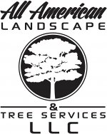 all-american-landscape-and-tree-services