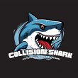 collision-shark