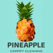 pineapple-carpet-cleaning