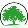 martinez-tree-service-landscaping