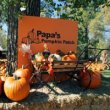 papas-pumpkin-patch