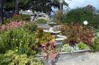 camarillo-community-gardens