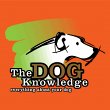 the-dog-knowledge