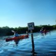 gulf-coast-kayaks