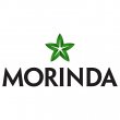 morinda-holdings
