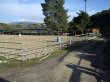 jakes-place-horse-ranch