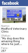 medford-veterinary-clinic