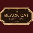 the-black-cat-hair-studio