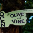 the-olive-and-vine