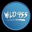 wild-95-5