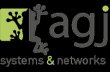 agj-systems-and-networks