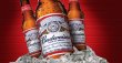 budweiser-of-columbia-anderson-and-greenville-foundation