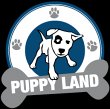post-puppy-land