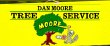 dan-moore-tree-service