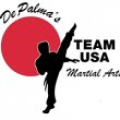 depalma-s-team-usa-martial-arts---ahwatukee