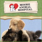 moore-animal-hospital