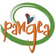 pangea-grills-and-wraps