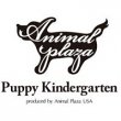 animal-plaza-doggie-daycare-and-dog-training