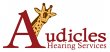 audicles-hearing-aid-service