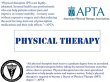 professional-therapies