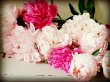 chelsea-floral-designs