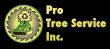 pro-tree-service