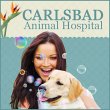 carlsbad-animal-hospital---dennis-derieg-dvm