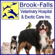 brook-falls-veterinary-hospital-exotic-care-inc