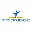 tribridge