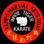 kempo-martial-arts-of-valley-stream