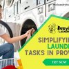 6_The Busy Bee Laundromat_Simplifying Laundry Tasks in Provo.jpg