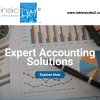 3_Intrinsic DM2_Expert Accounting Solutions.jpg
